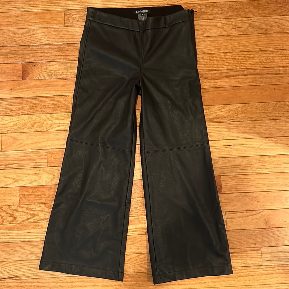 David Lerner - image 1